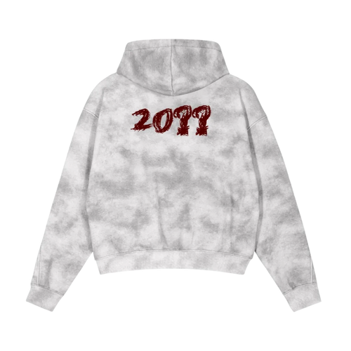 Marble zip hoodie — back, brand's tonal "20??" print in blood red