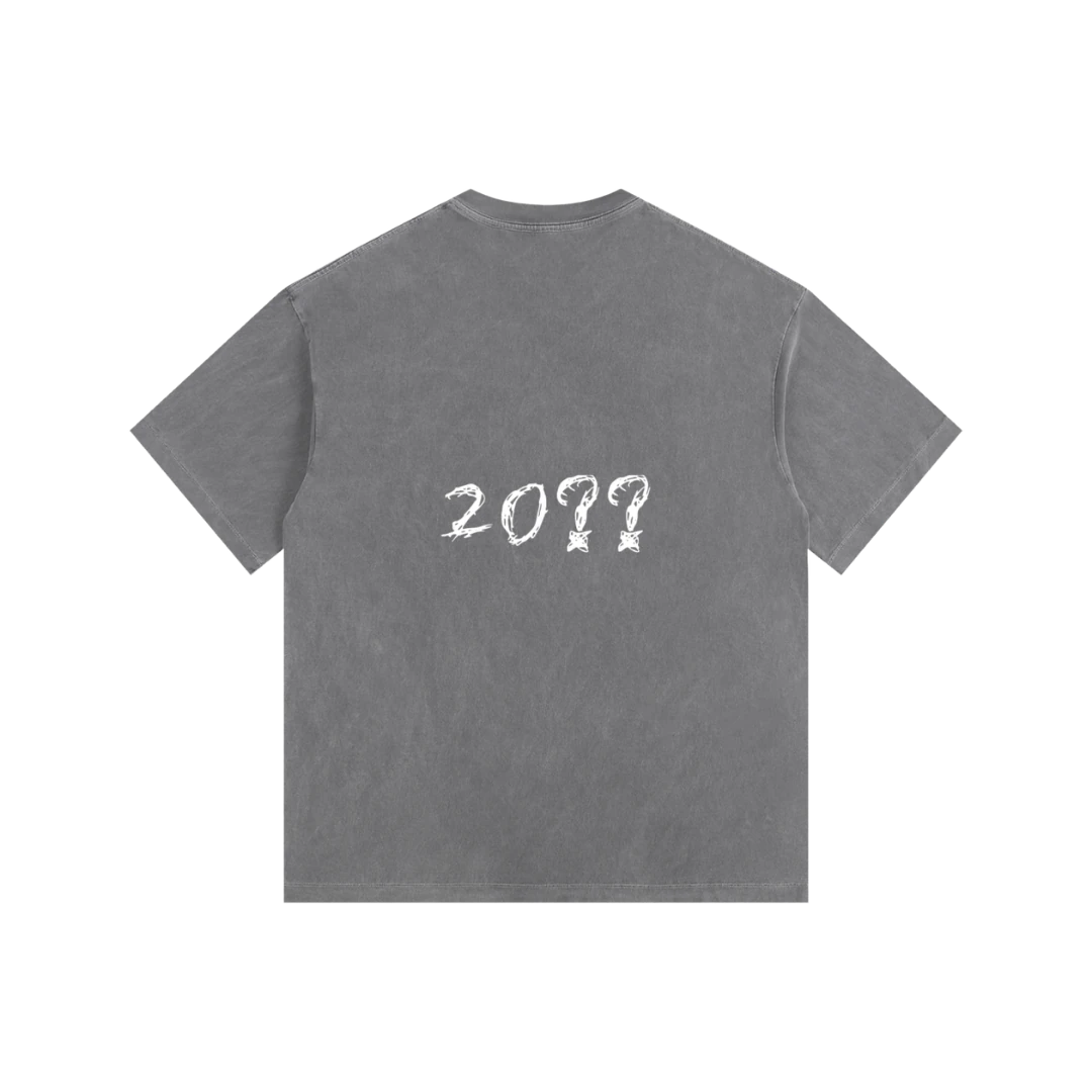 Washed gray graphic tee — back, brand's tonal "20??" print